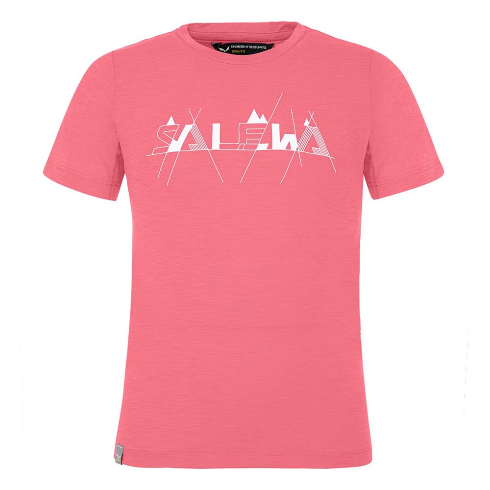 Salewa Graphic Dryton Short Sleeve Pink Kids T-Shirts