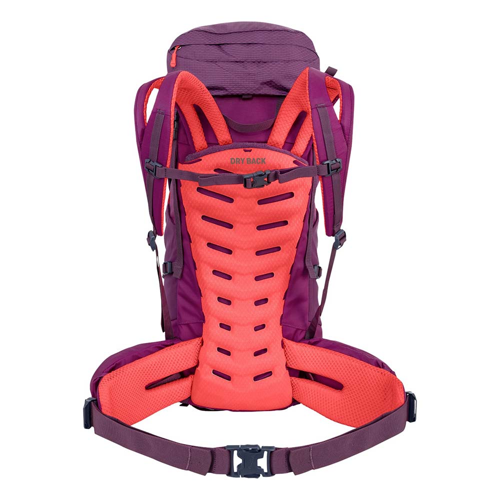 Salewa Alptrek 38+5 L Dark Purple Women Backpack