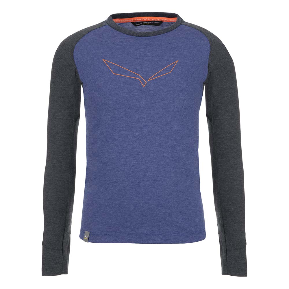 Salewa Pure Dry Graphic Long Sleeve Blue Kids T-Shirts