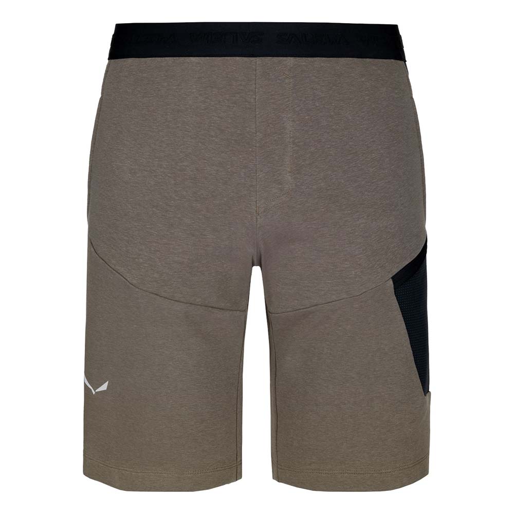 Salewa Lavaredo Hemp Train Brown Men Shorts