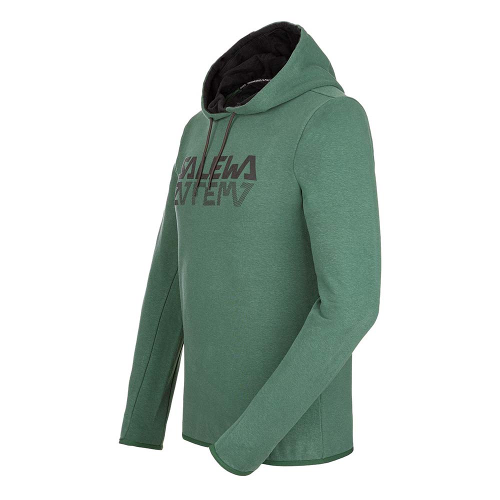 Salewa Puez Hemp Logo Green Men Hoodies