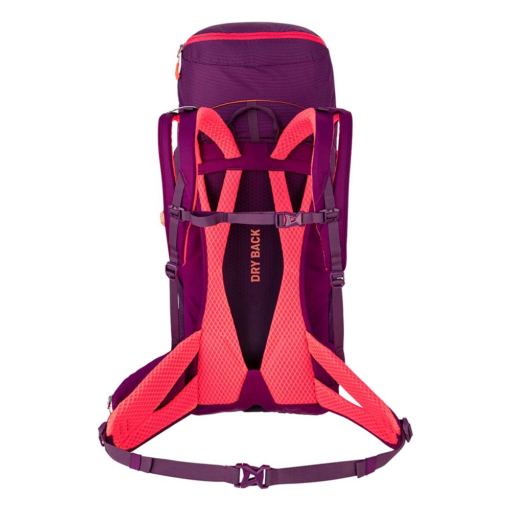 Salewa Alp Trainer 30+3L Red/Dark Purple Women Backpack