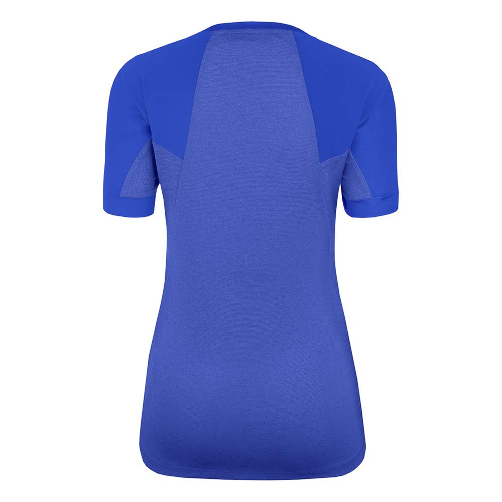 Salewa Seceda Dry Blue Women T-Shirts