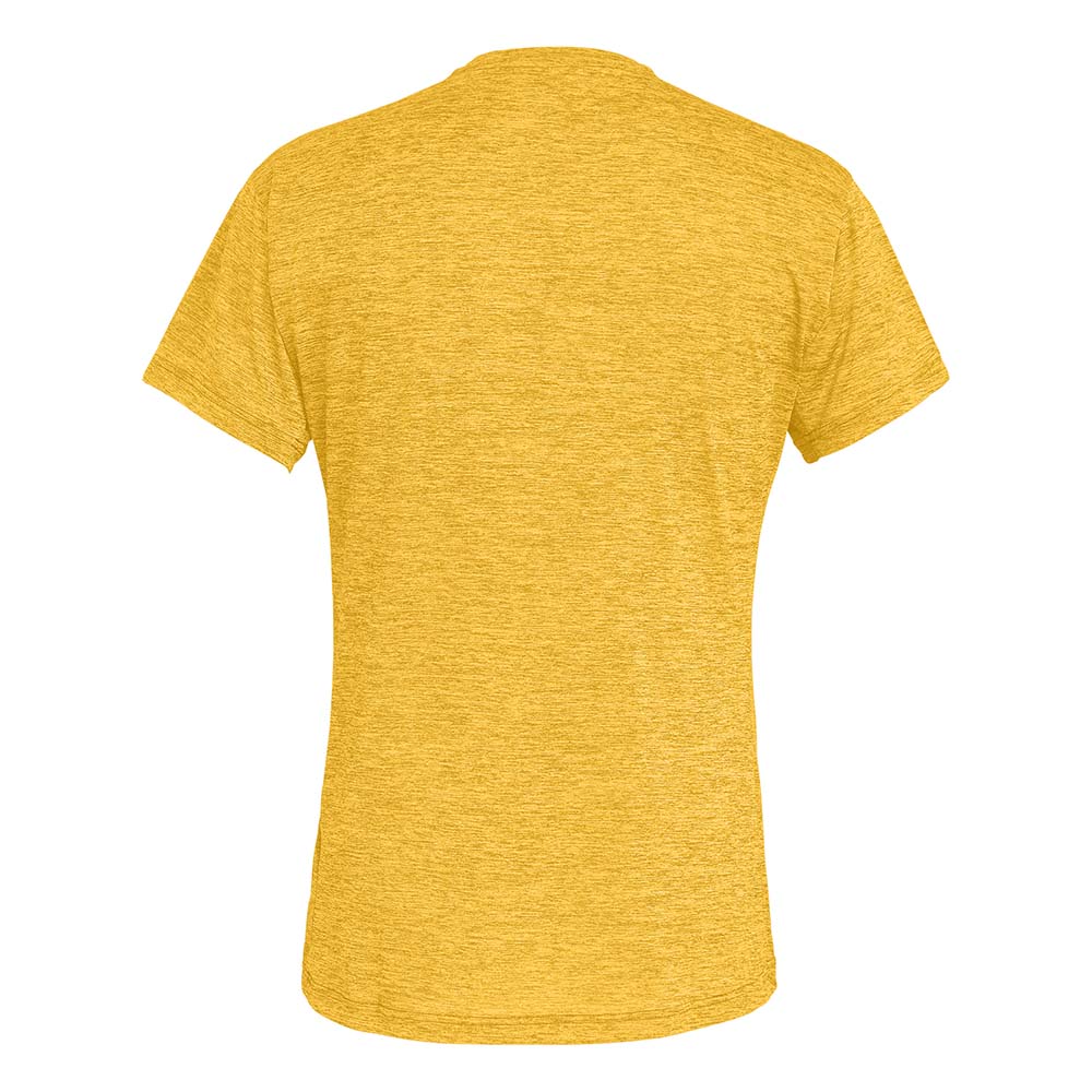 Salewa Puez Melange Dry Yellow/Gold Men T-Shirts