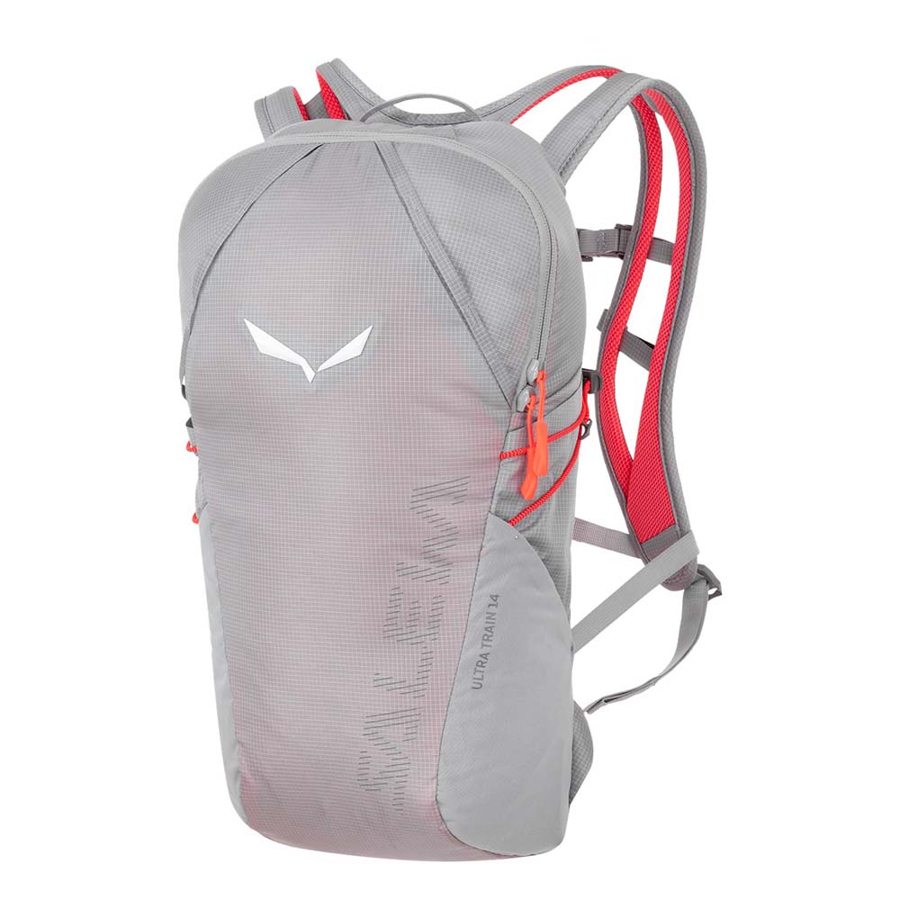 Salewa APEX 15 Grey Men Backpack