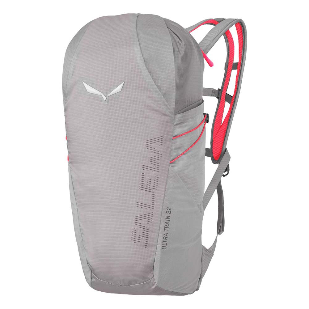Salewa ltra Train 22L Grey Men Backpack