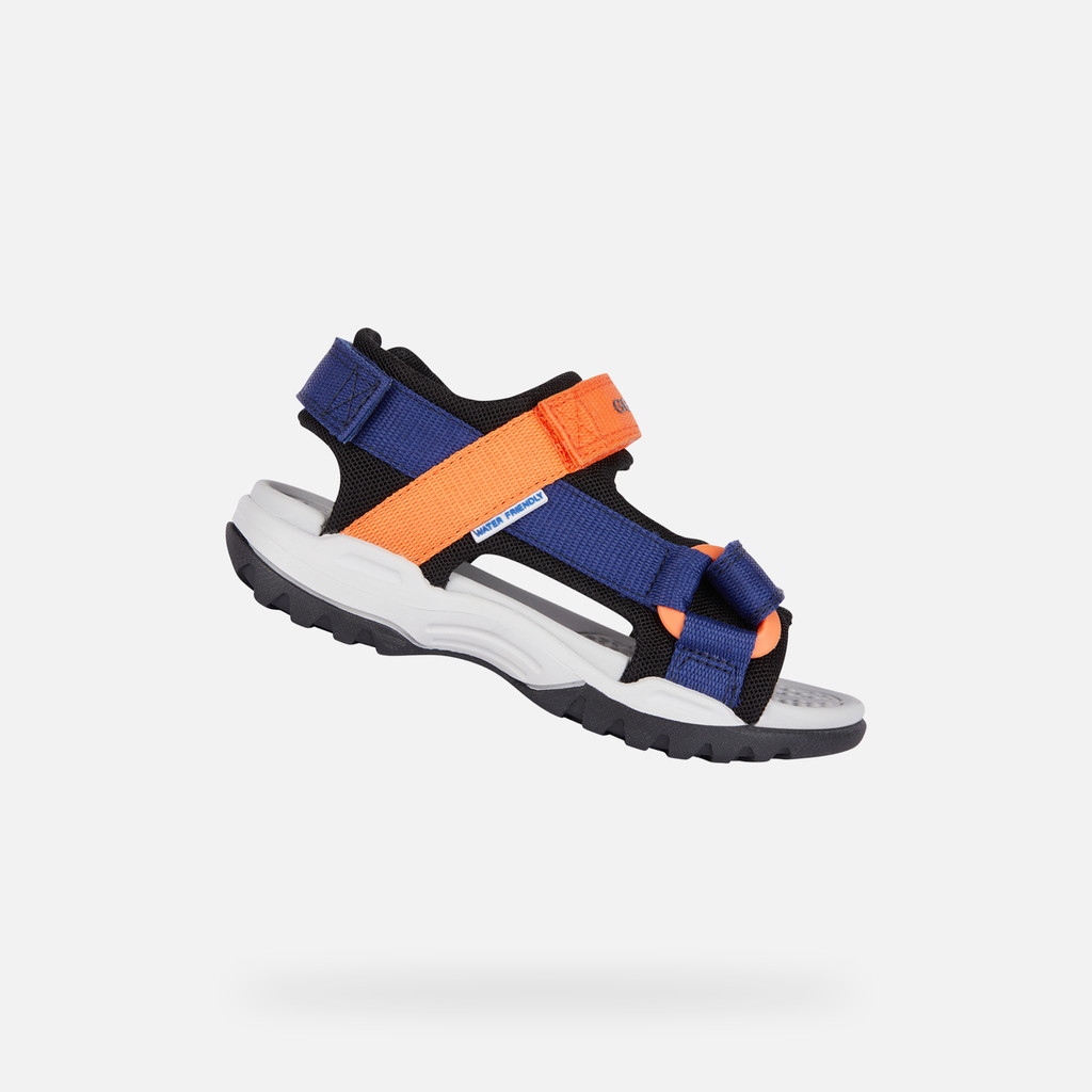 Borealis Junior