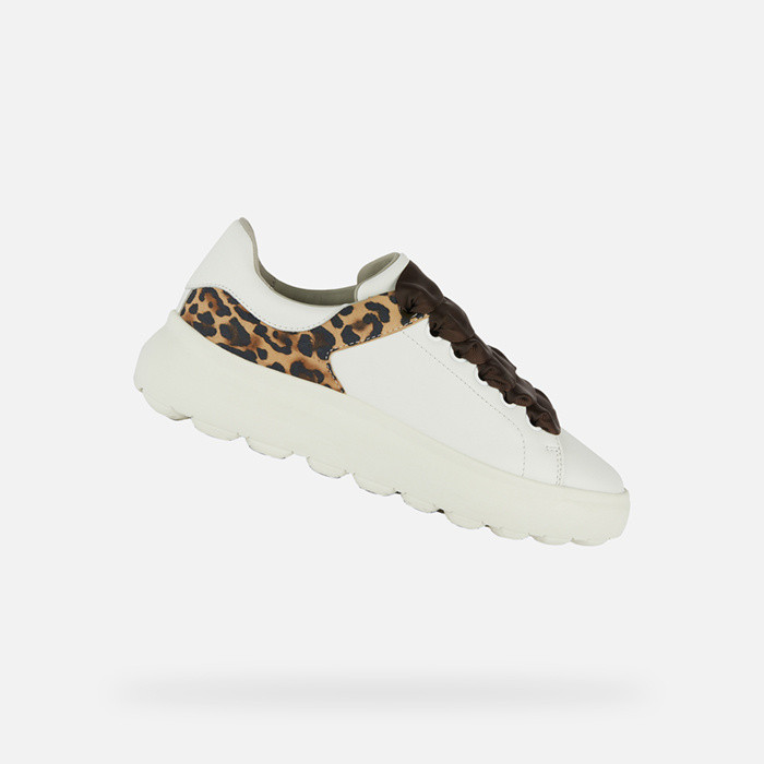 Spherica Ec4.1 Woman