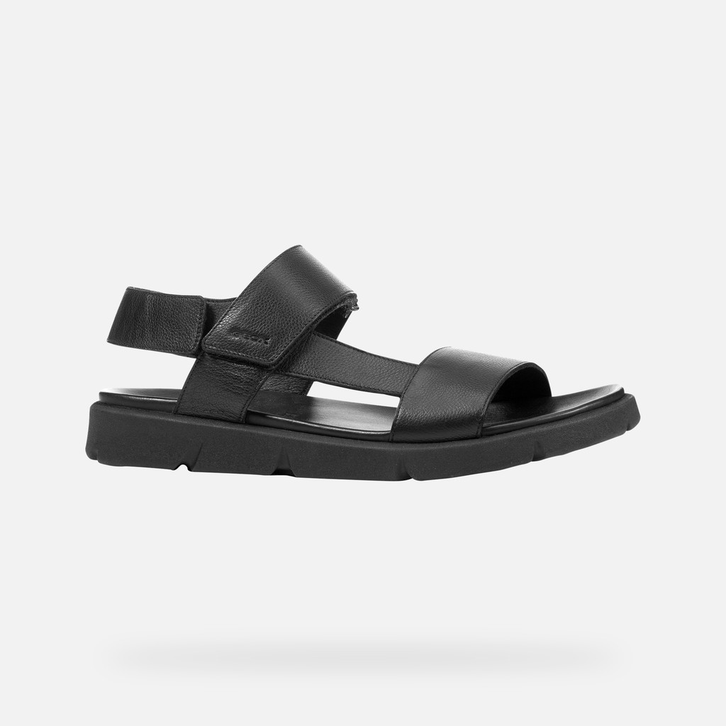 Xand 2s Man