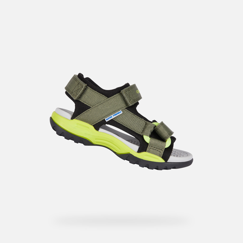 Borealis Junior