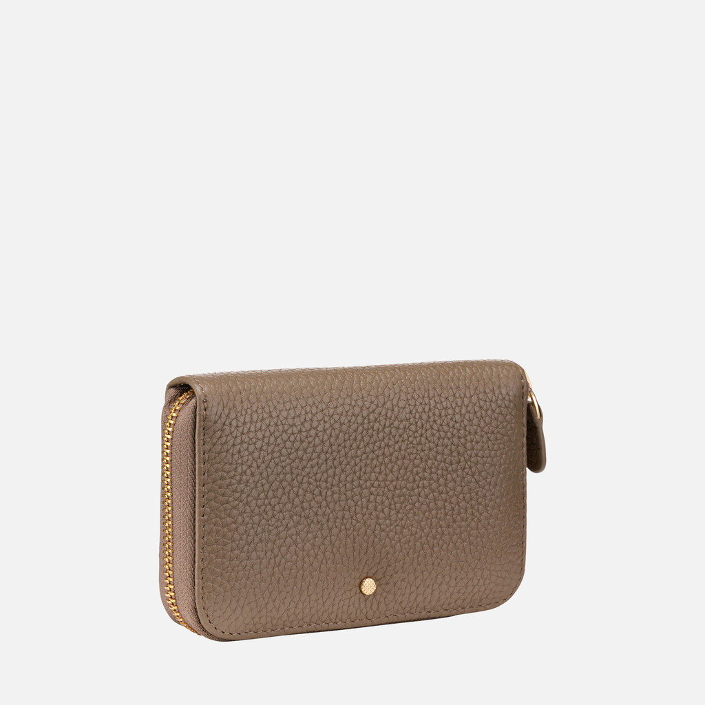 Wallet Woman