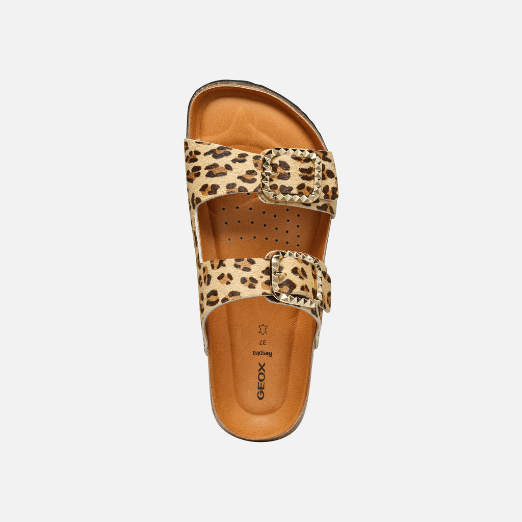 New Brionia B Woman