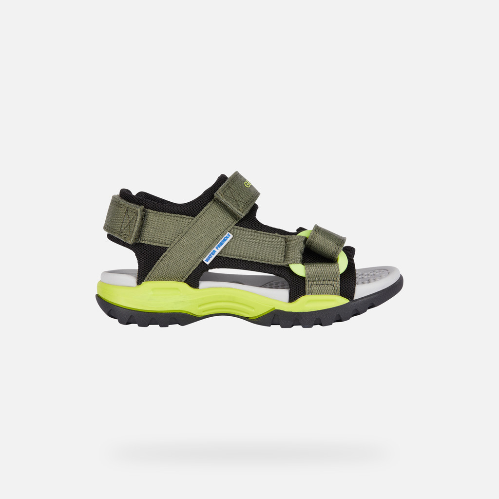 Borealis Junior