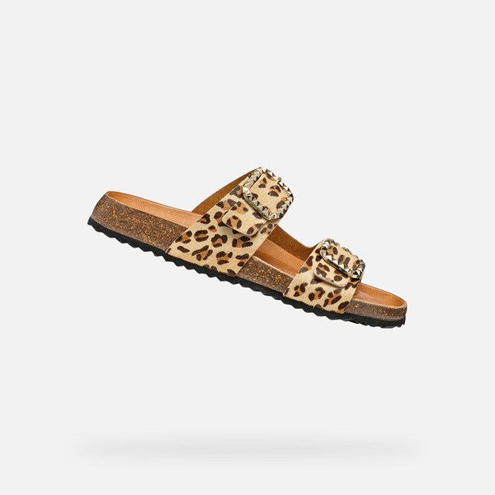 New Brionia B Woman
