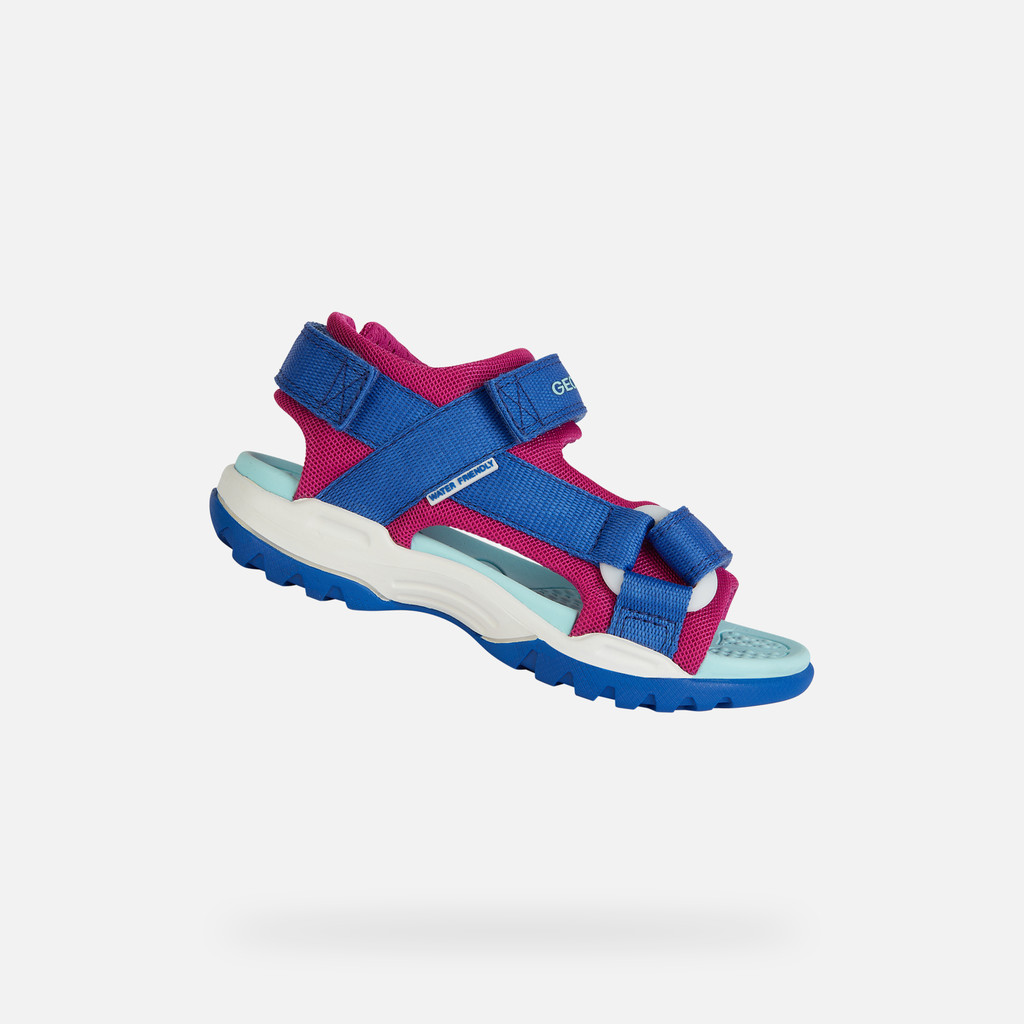 Borealis Junior