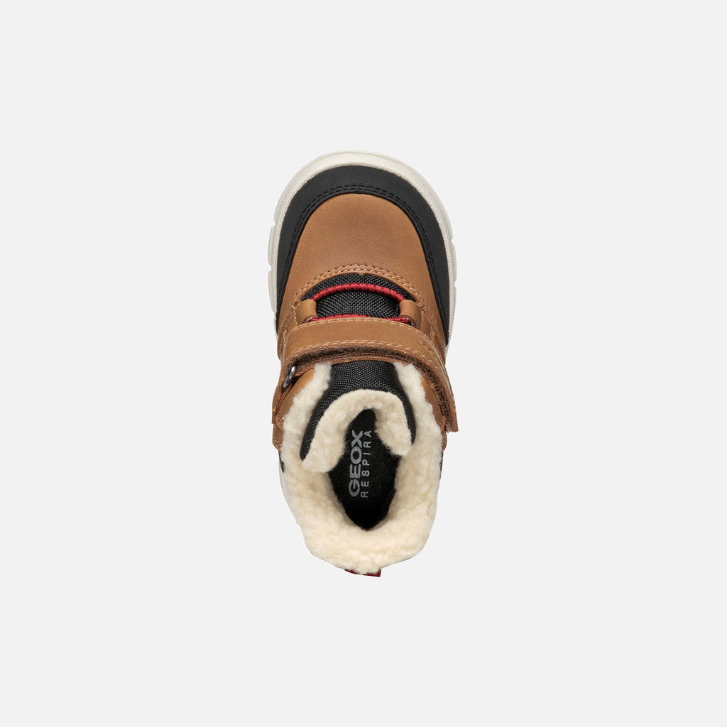 Willaboom Abx Toddler