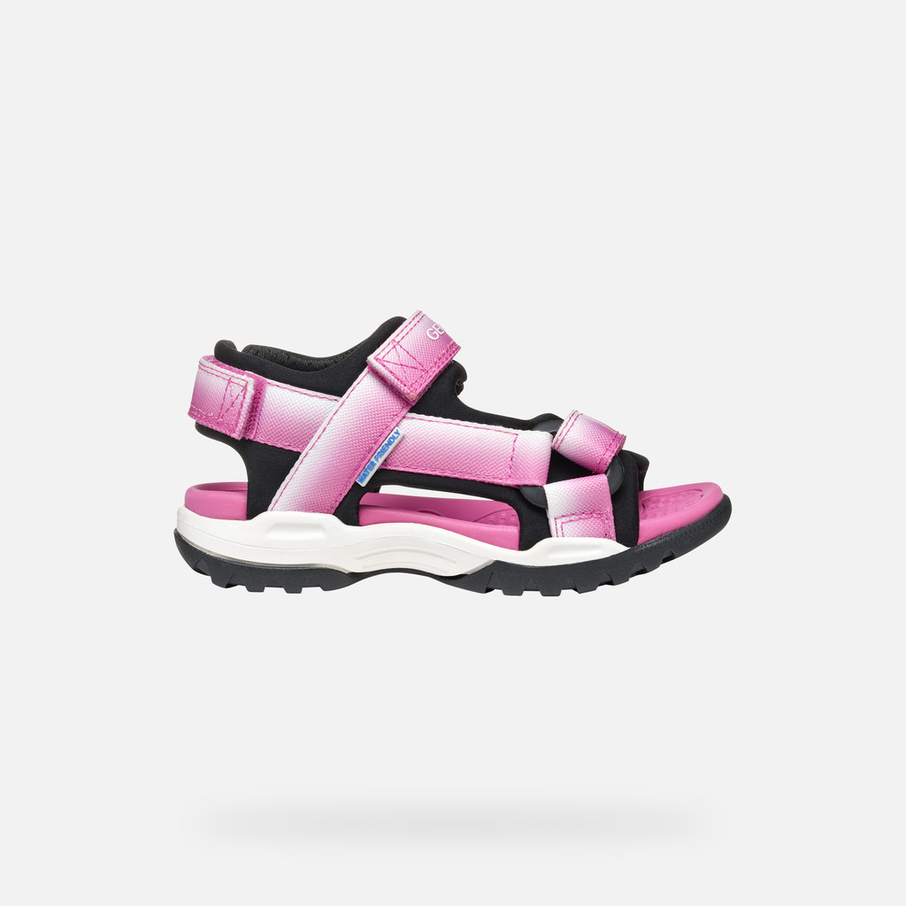 Borealis Junior