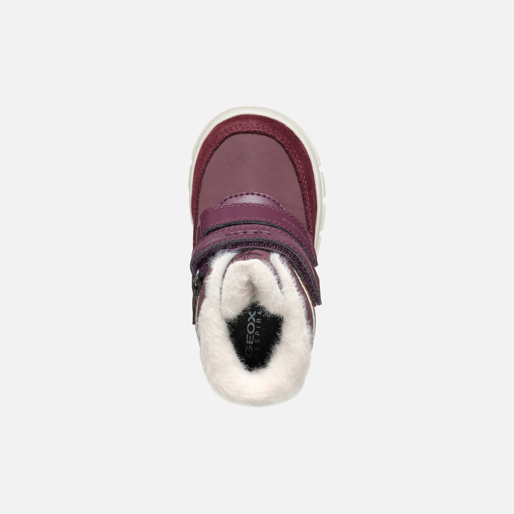 Willaboom Abx Toddler
