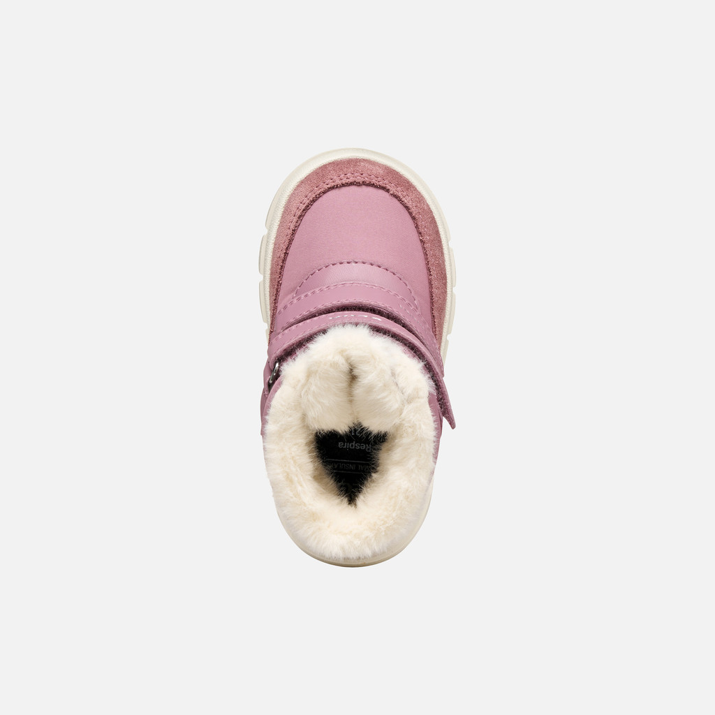 Willaboom Abx Toddler