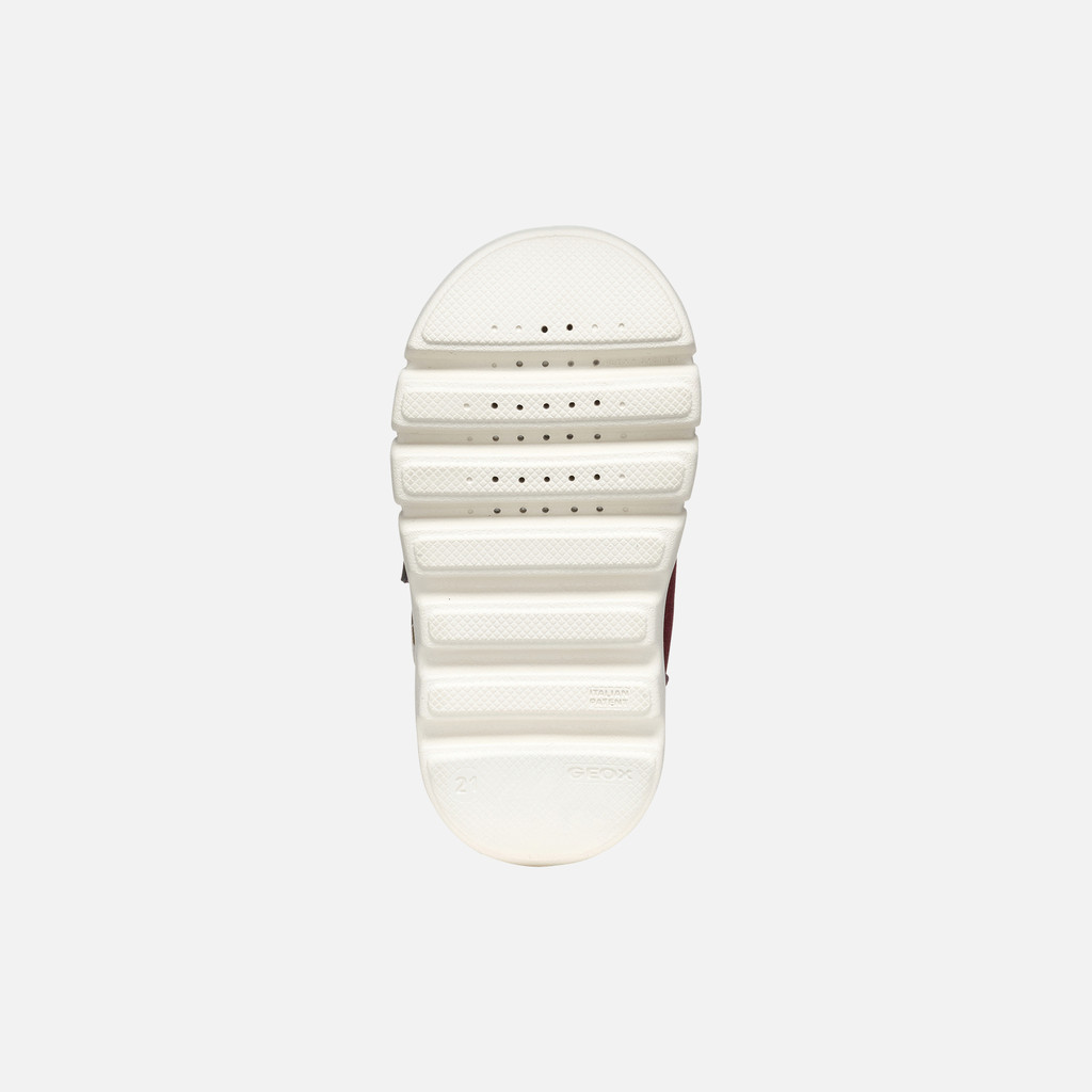 Willaboom Abx Toddler