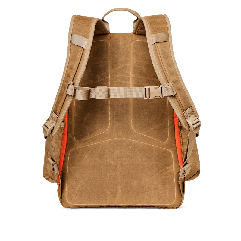 Surveyor 36l Backpack
