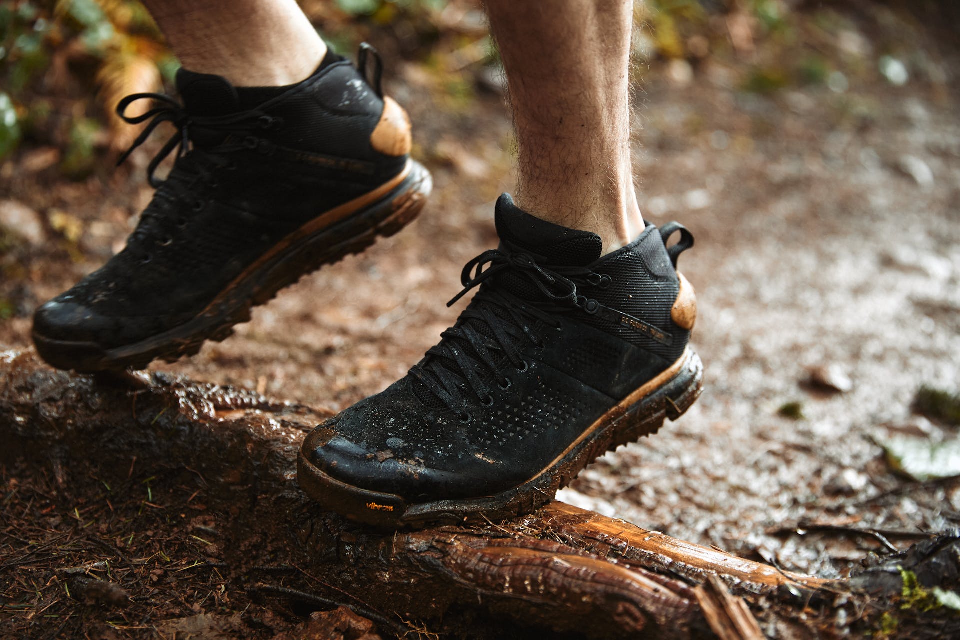 Filson X Danner Trail 2650 Hiker Boots