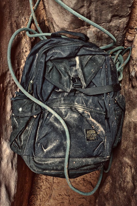 Surveyor 36l Backpack