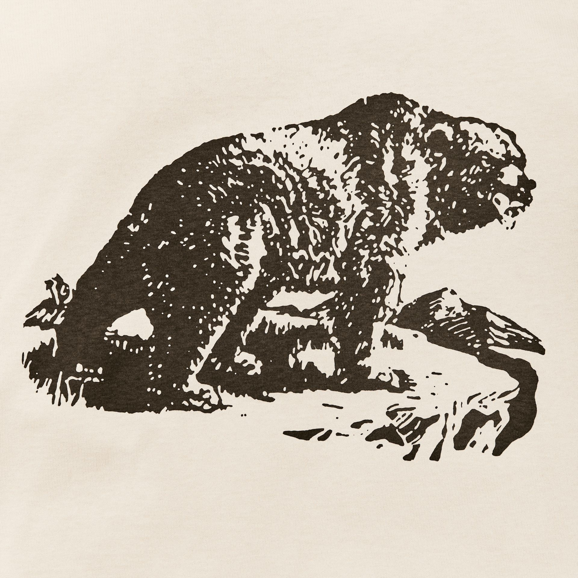 Frontier Graphic T-shirt