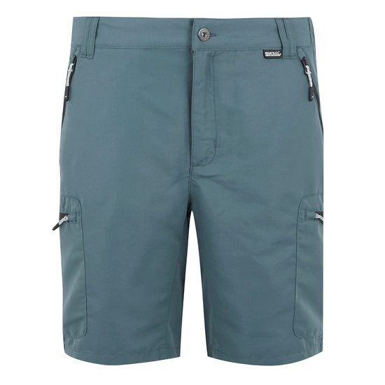 Men's Leesville III Walking Shorts | Ash