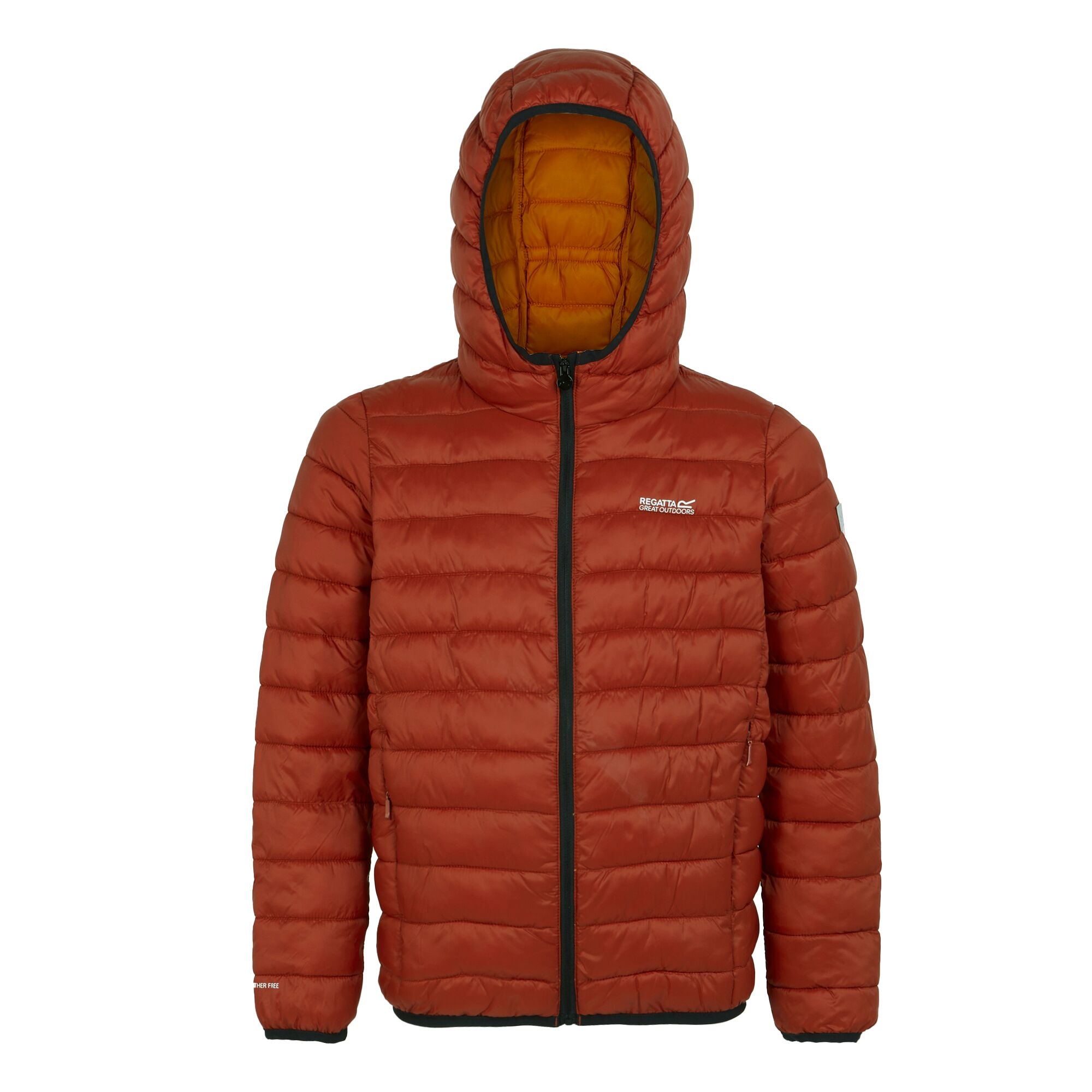 Kids' Hooded Marizion Padded Jacket | Red Ochre Fox