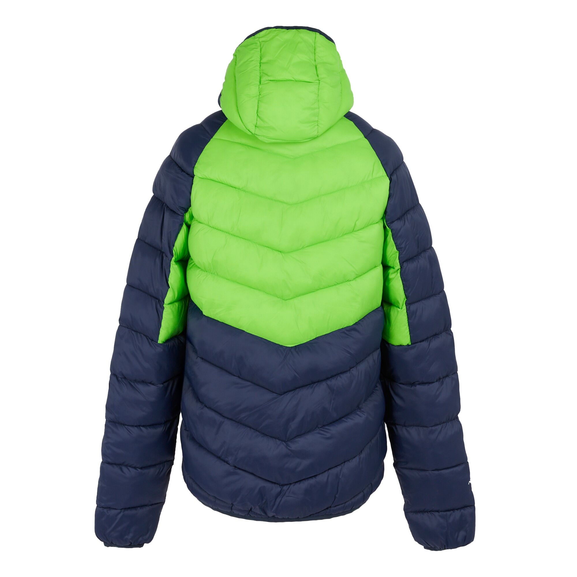 Men's Dalent Insulated Hooded Jacket | Green Flash Navy