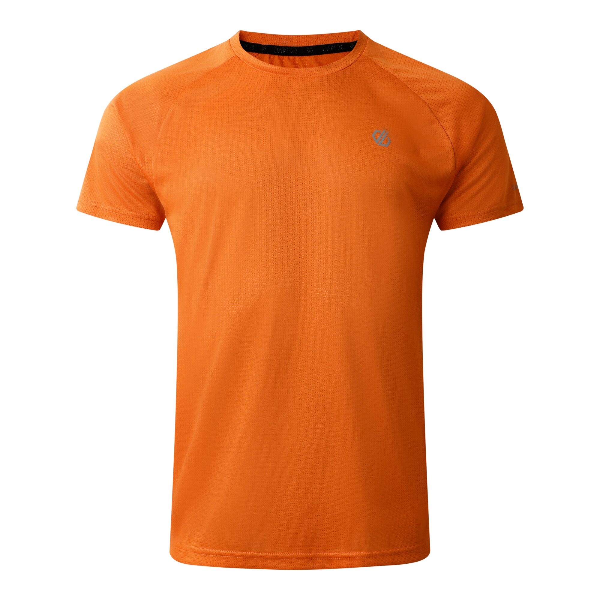 Men's Accelerate Fitness T-Shirt | Spicy Route