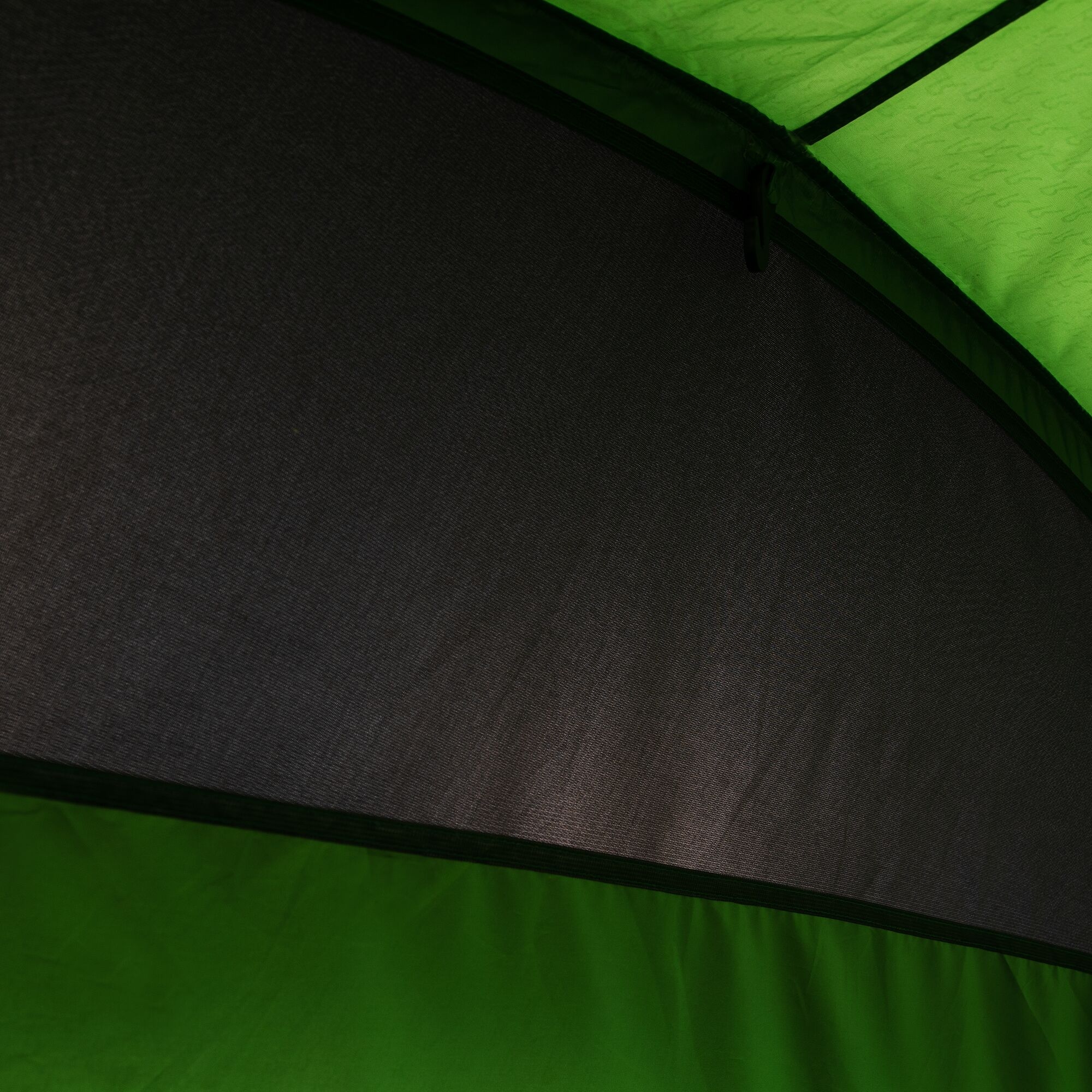 Montegra 4-Man Backpacking Tent | Alpine Green