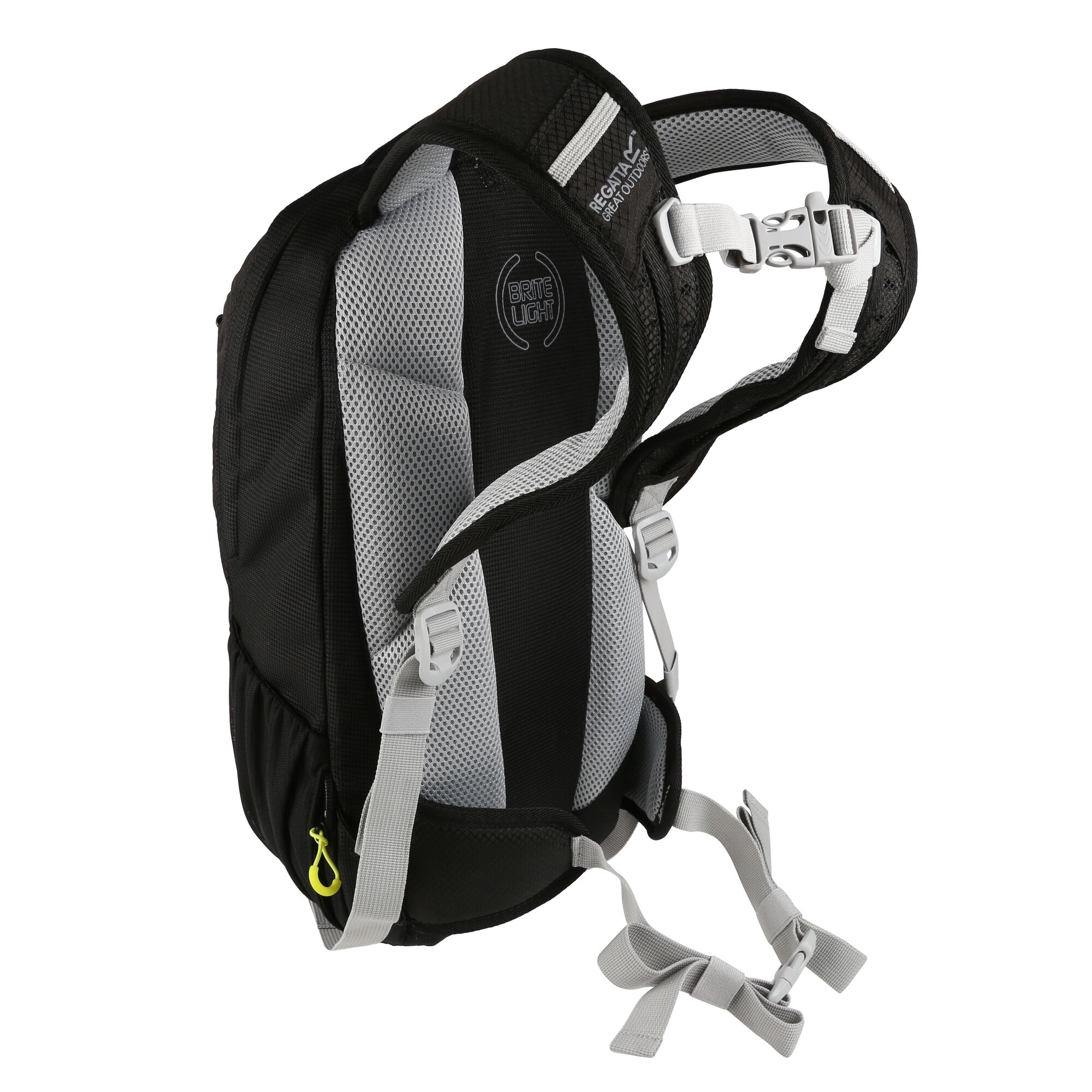 Britedale 20L Backpack | Black