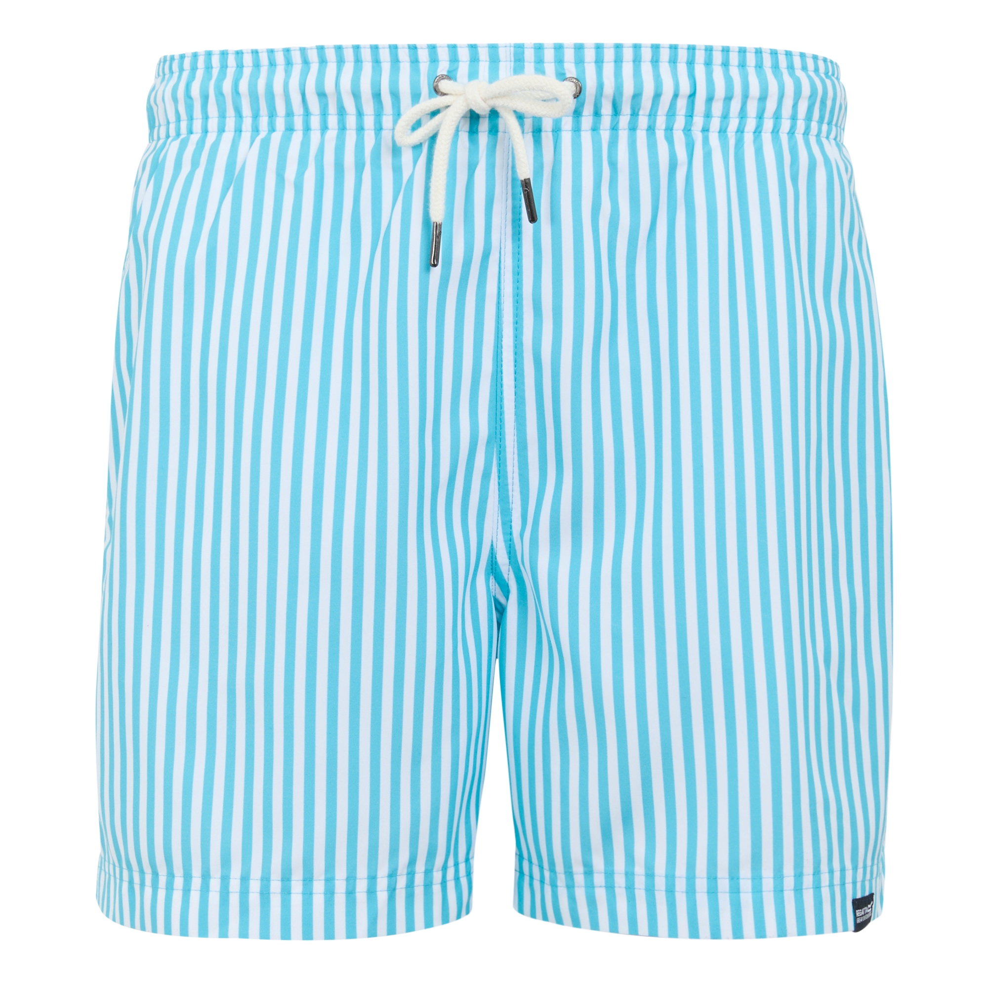 Men's Loras Swim Shorts | Aquarius Blue Stripe