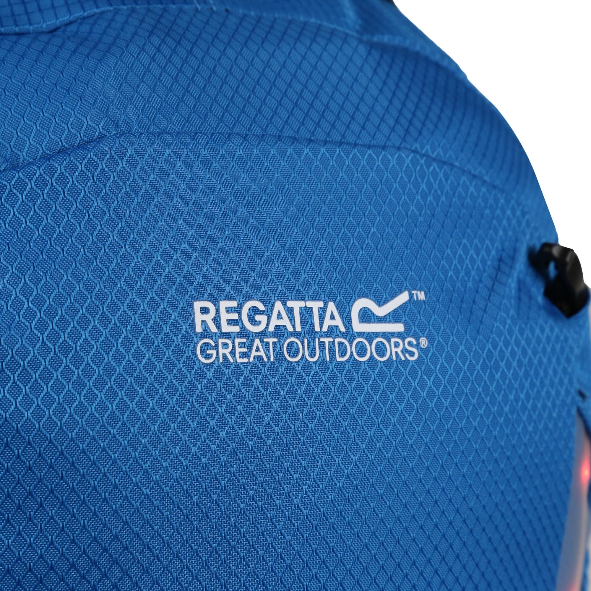 Britedale 20L Backpack | Imperial Blue