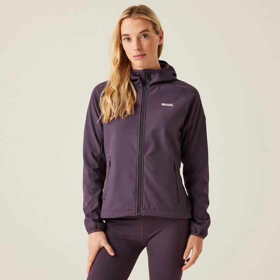 Women's Arec III Softshell Jacket | Lilas