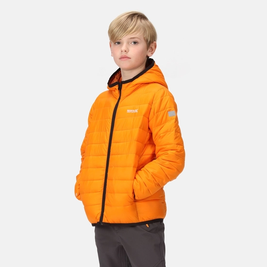 Kids' Hooded Marizion Padded Jacket | Red Sky Mineral Red