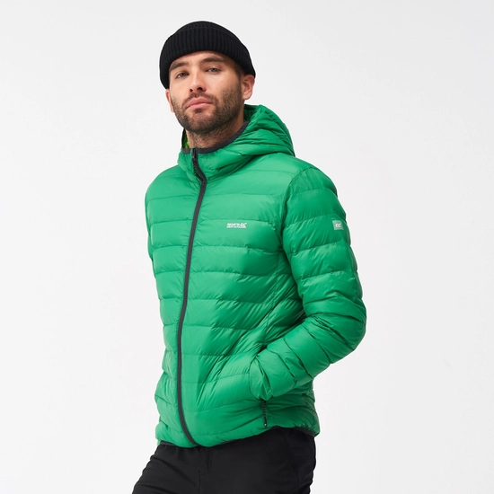 Men's Hooded Marizion Padded Jacket | Olympian Blue Green Flash