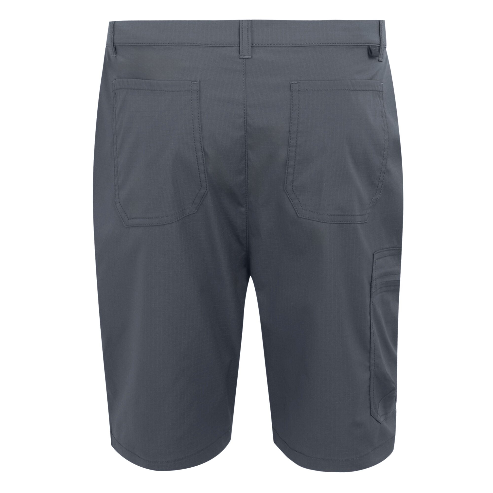 Men's Dalry Multi Pocket Shorts | Seal Grey