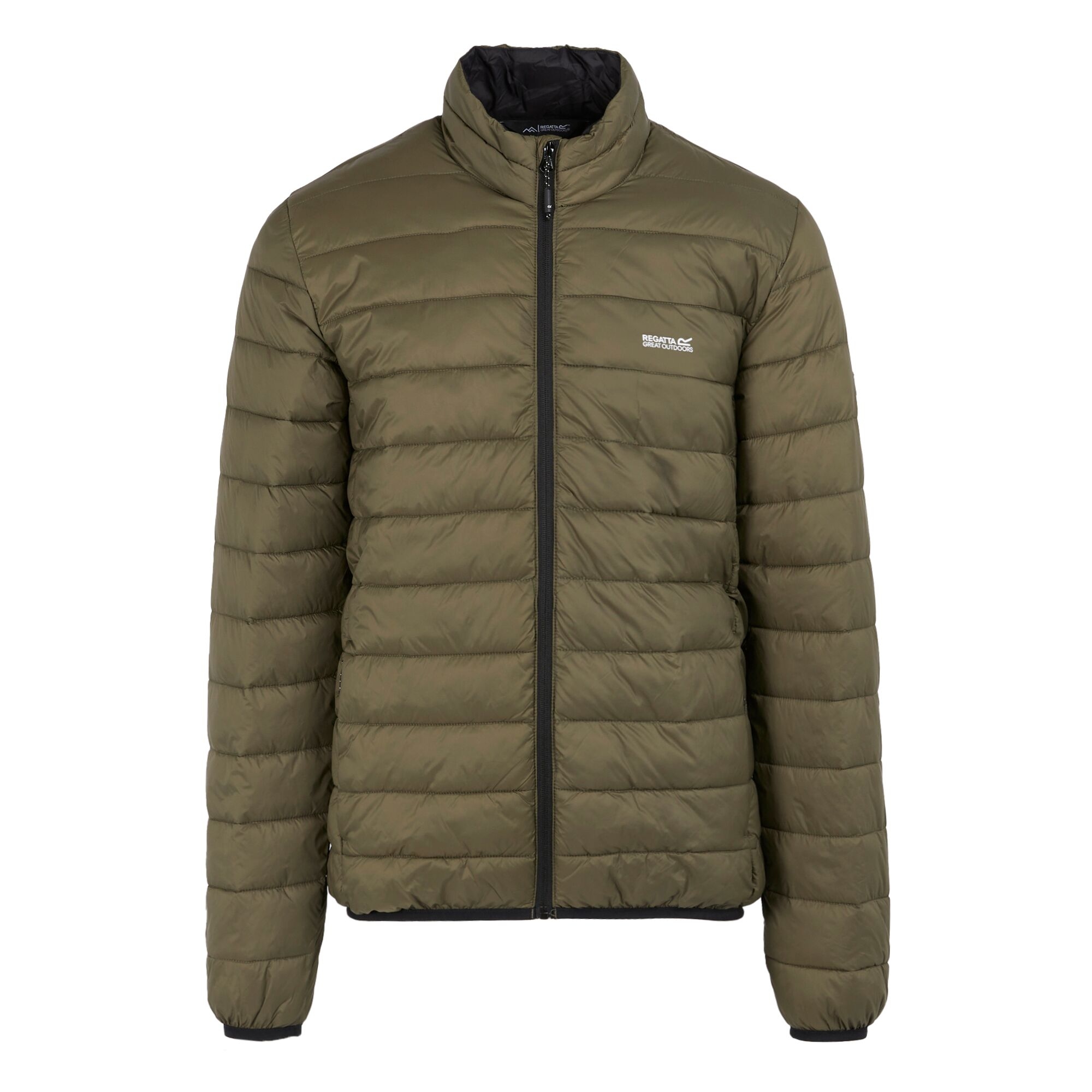 Men's Marizion Padded Jacket | Crocodile
