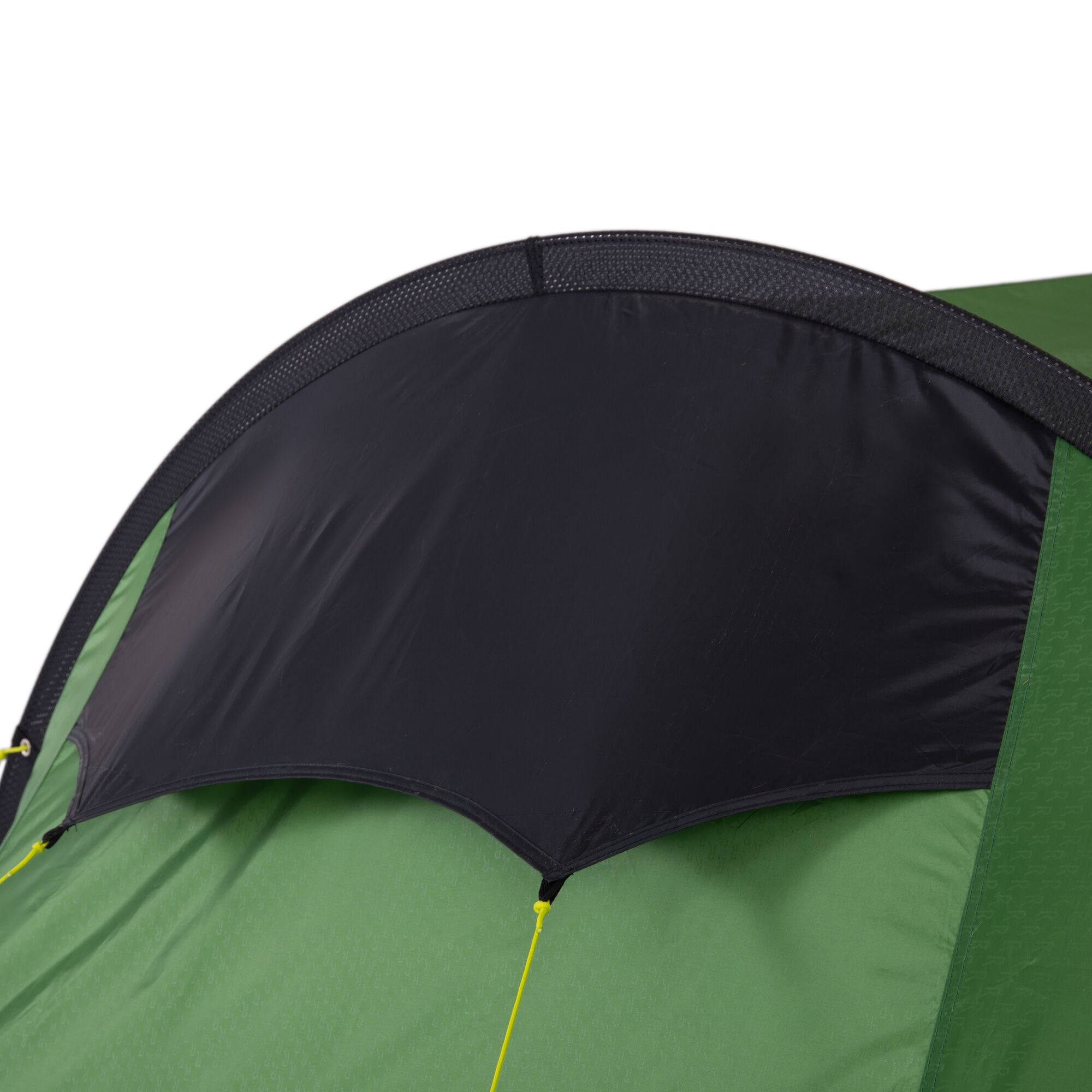 Montegra 4-Man Backpacking Tent | Alpine Green