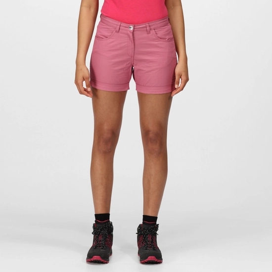 Women's Pemma Casual Chino Shorts | Navy