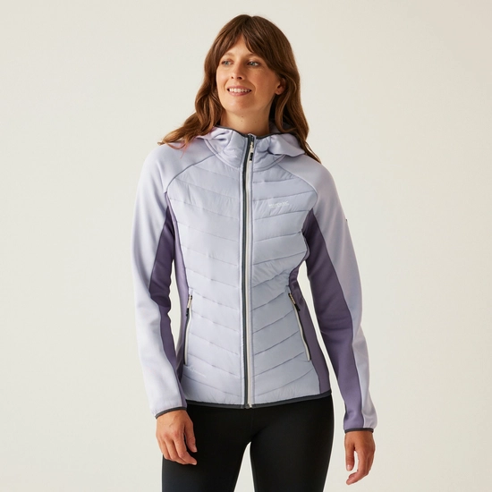 Women's Andreson VIII Hybrid Jacket | Black