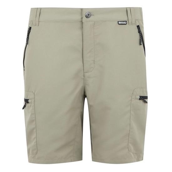 Men's Leesville III Walking Shorts | Ash