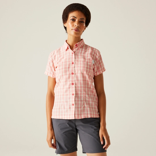 Women's Mindano VIII Short Sleeve Shirt | Exotic Plume Check
