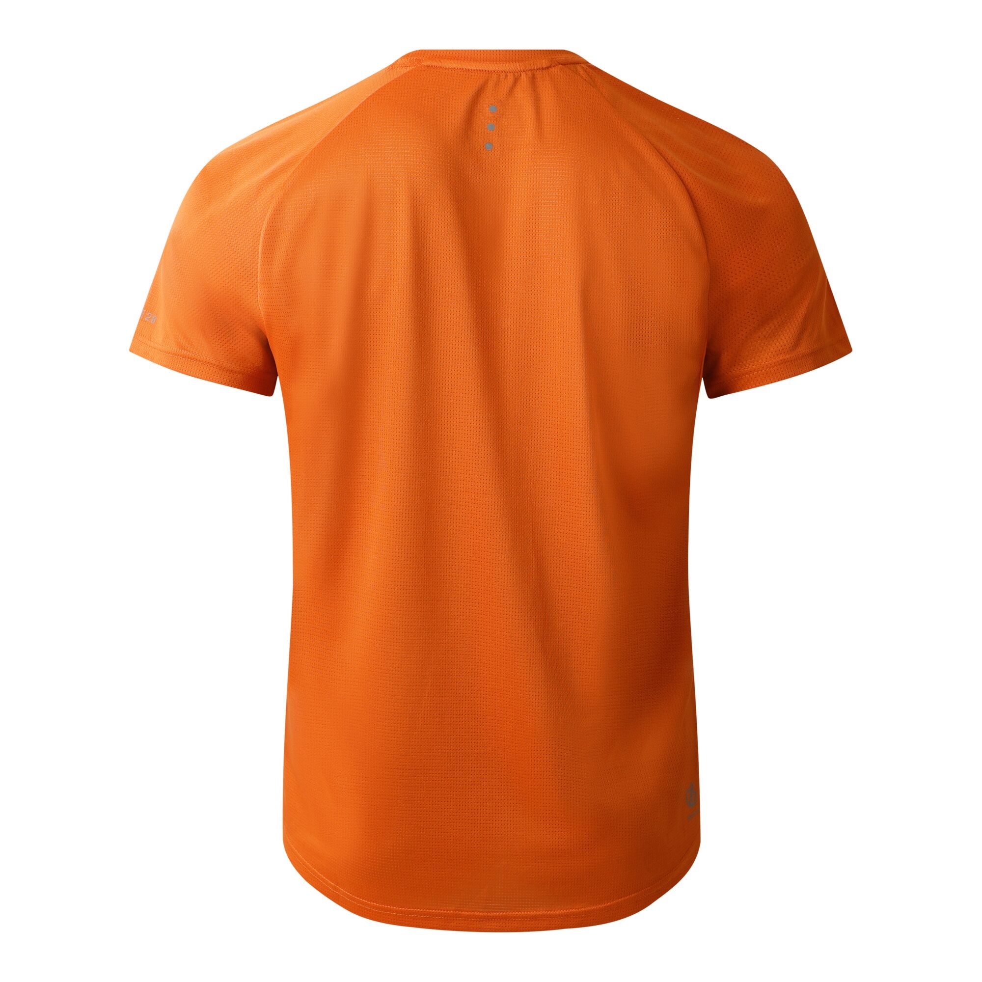 Men's Accelerate Fitness T-Shirt | Spicy Route