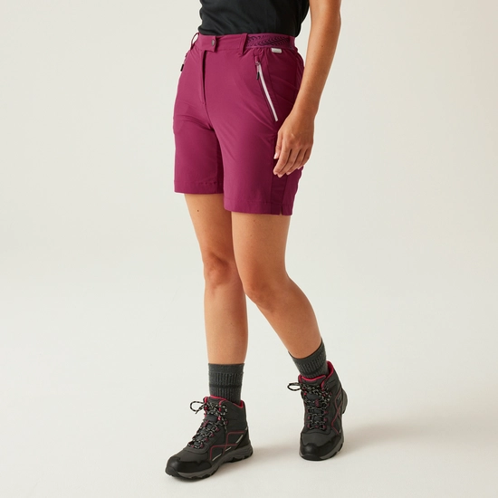 Women's Mountain II Walking Shorts | Navy