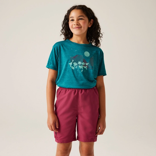 Kids' Alvarado IX T-Shirt | Pop