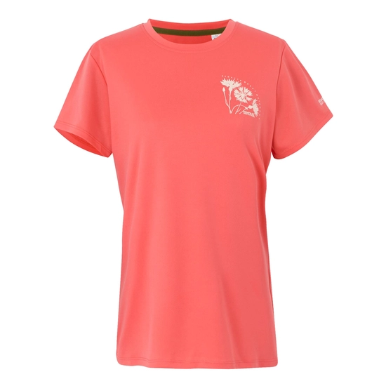 Women's Fingal IX T-Shirt | Black